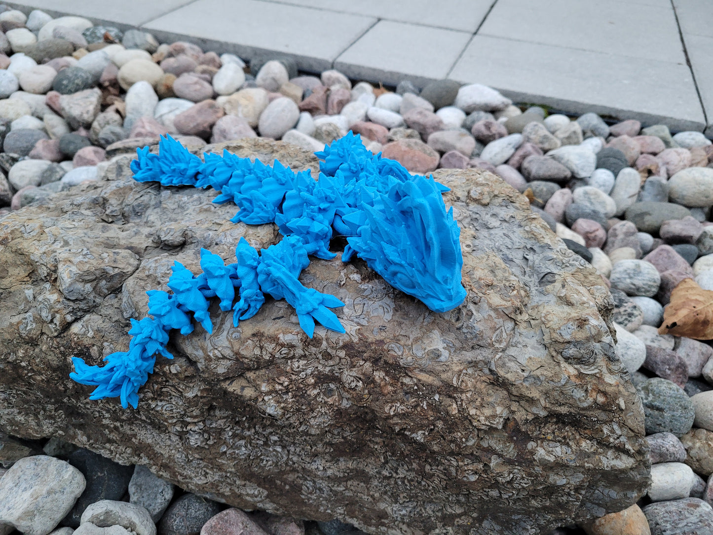 Baby - Jellyfish Dragon
