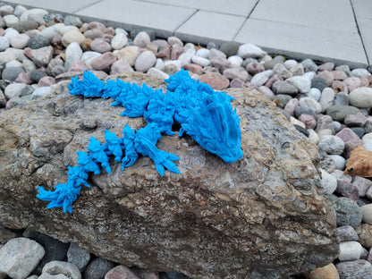 Baby - Jellyfish Dragon